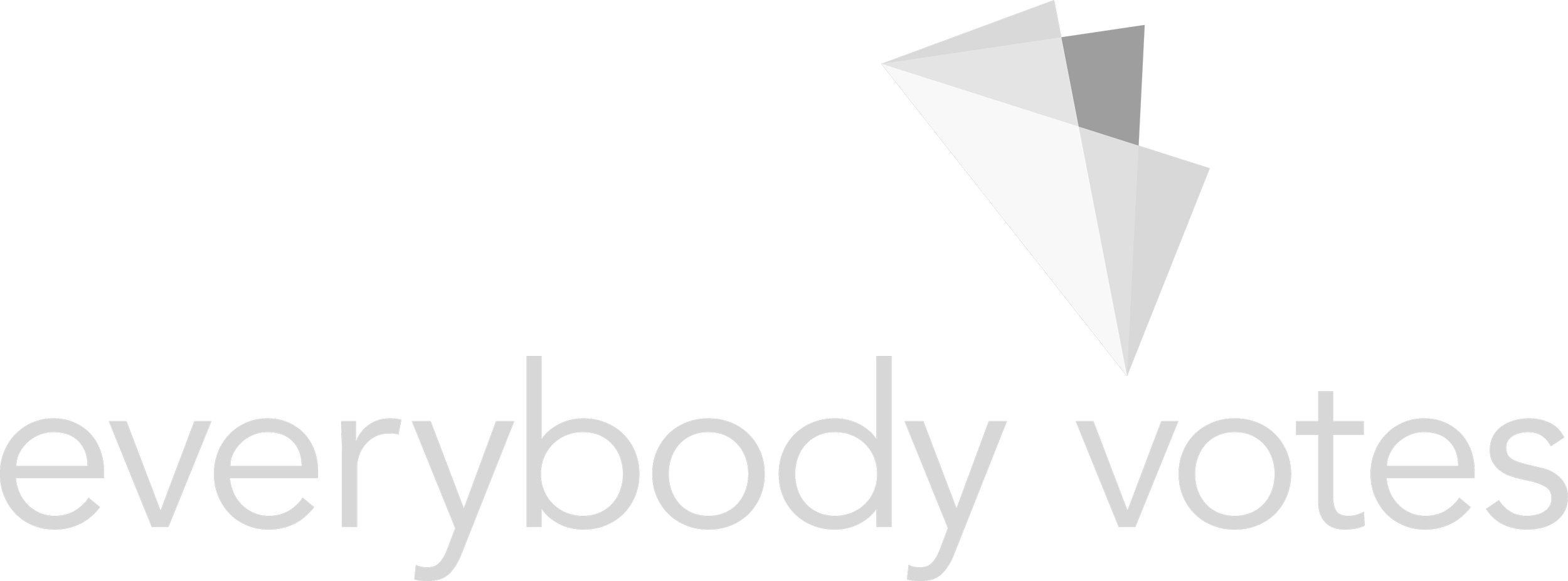 Everybody Votes Campaign